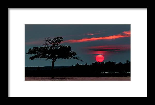 Higgins Lake Framed Print featuring the photograph Cherry Red by Joe Holley