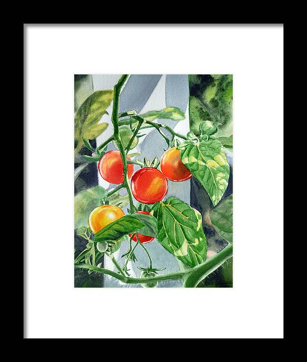 Tomato Framed Print featuring the painting Cherry Tomatoes by Irina Sztukowski