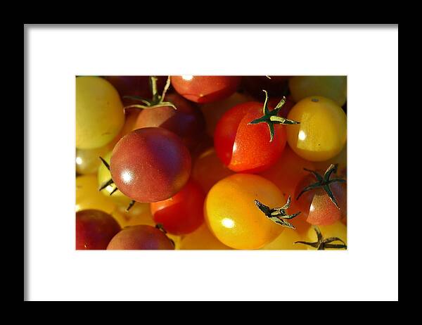 Cherry Tomatoes Framed Print featuring the photograph Cherry Tomatoes by Jennifer Smith