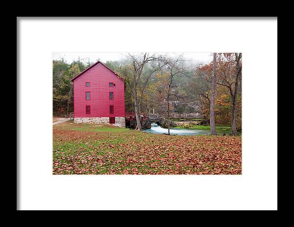 Missouri Framed Print featuring the photograph Children of the Sycamore by Steve Stuller