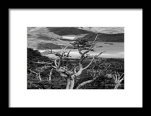 Black And White Framed Print featuring the photograph Chile_115-6 by Craig Lovell