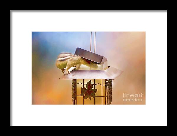 Chipmunk Framed Print featuring the photograph Chipmunk at the Feeder 2 Nursery triptych by Eleanor Abramson