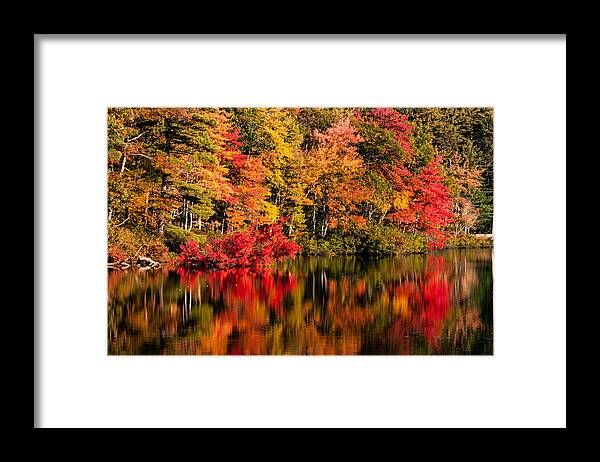 Little Pond Framed Print featuring the photograph Chocorua pond in fall foliage by Jeff Folger