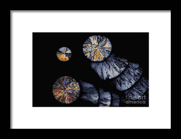 Atherosclerosis Framed Print featuring the photograph Cholesterol Crystals, Polarized Lm by Antonio Romero