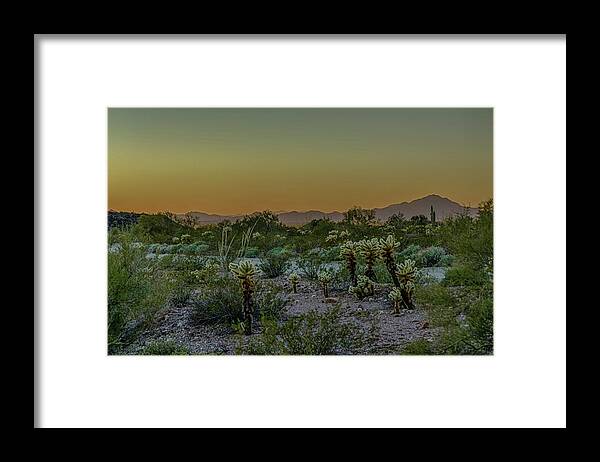 Palm Canyon Framed Print featuring the photograph Cholla desert sunset by Gaelyn Olmsted