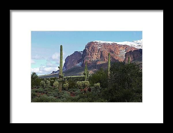 Cholla Saguaro Superstition Mountain Framed Print featuring the photograph Cholla Saguaro Superstition Mountain by Tom Janca