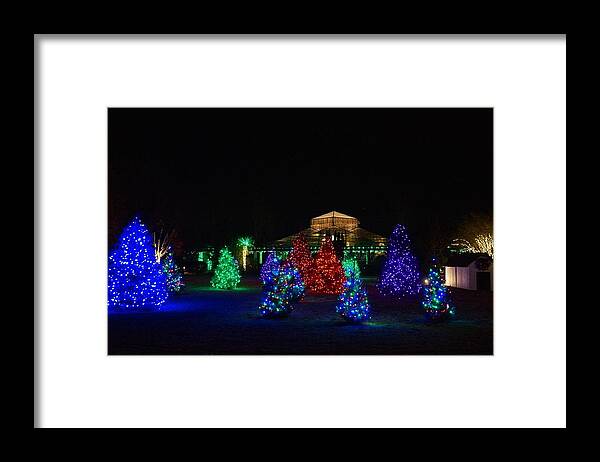  Framed Print featuring the photograph Christmas Garden 7 by Rodney Lee Williams