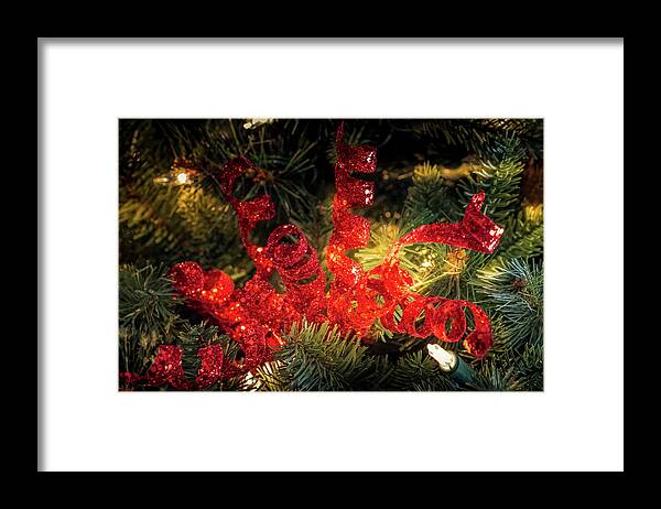 Christmas Framed Print featuring the photograph Christmas Red by Allin Sorenson