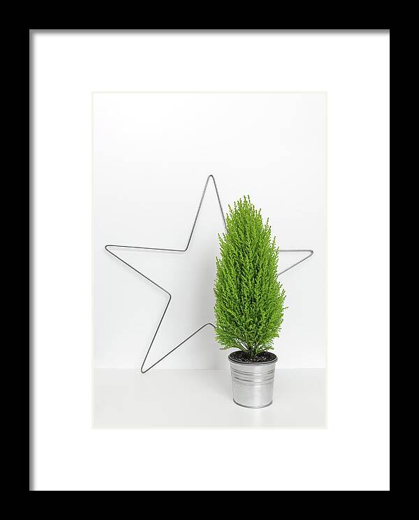 Design Framed Print featuring the photograph Christmas star and little green tree by GoodMood Art