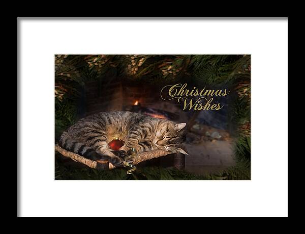 Cat Framed Print featuring the photograph Christmas Wishes by Robin-Lee Vieira