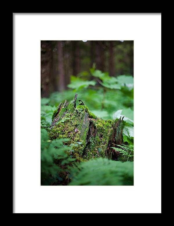 Alaska Framed Print featuring the photograph Chugach National Forest by Scott Slone