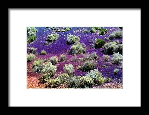Cinder Hills Overlook Framed Print featuring the photograph Cinder Hills Overlook, Volcanic Dune, Creosote Bushes, Wupatki N by Wernher Krutein