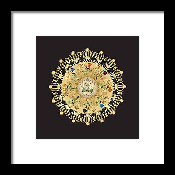 Mandala Framed Print featuring the digital art Circulosity No 3423 by Alan Bennington