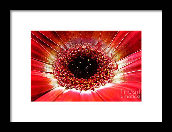 Clay Framed Print featuring the photograph Circumvent by Clayton Bruster