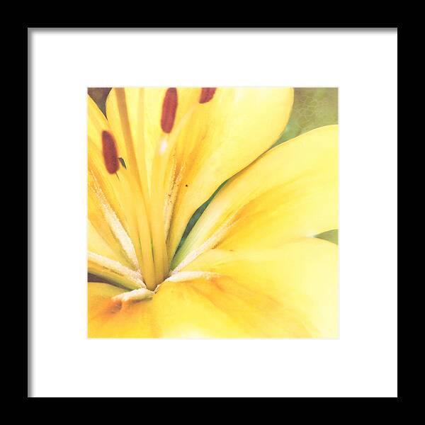 Blossom Framed Print featuring the photograph Citrine Blossom by Sand And Chi