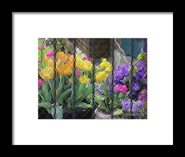 Photographic Art Framed Print featuring the photograph City Garden by Kathie Chicoine