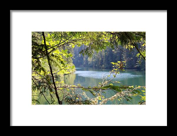 Clackamas River Framed Print featuring the photograph Clackamas River by Brian Eberly