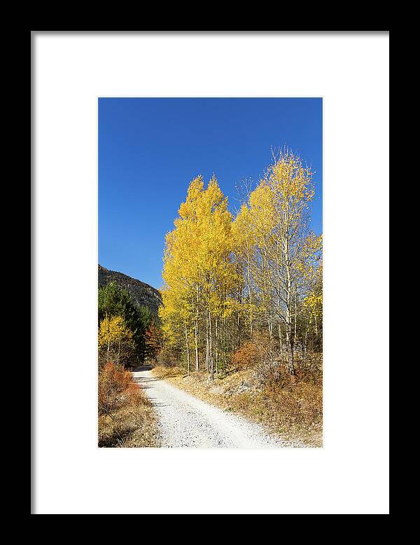 Colors Of Fall Framed Print featuring the photograph Claree Valley in Autumn - 11 - French Alps by Paul MAURICE