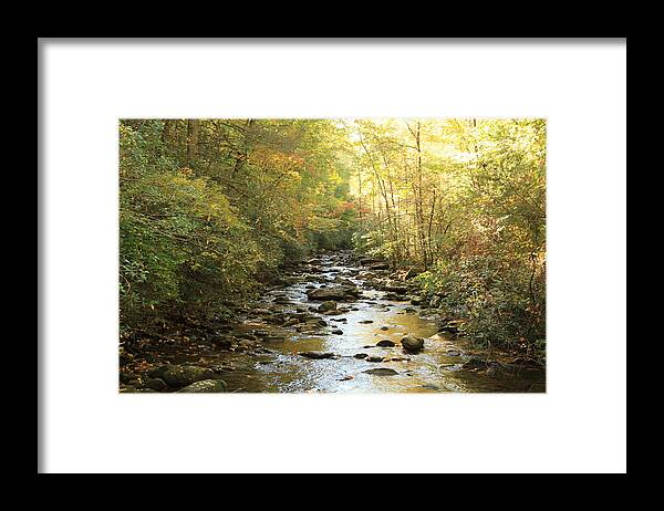 Mountain Stream Framed Print featuring the photograph Clear Creek on South Mountain by Karen Ruhl
