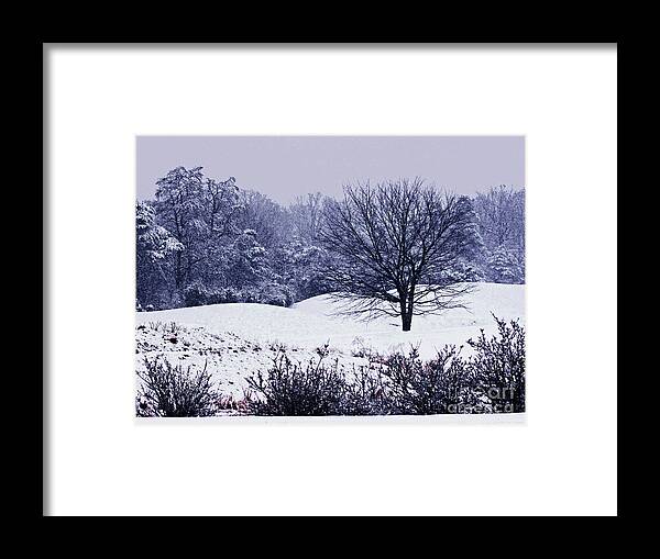 Larry Framed Print featuring the photograph Clifton Snow Storm 2 by Larry Oskin
