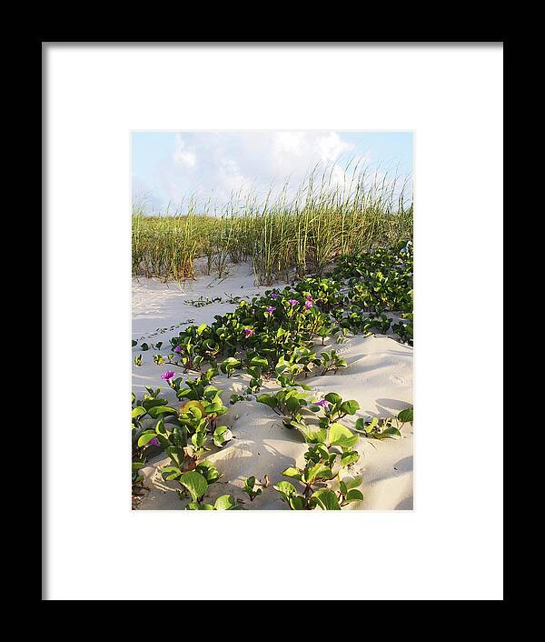 Nature Framed Print featuring the photograph Climbing the Dunes by Marilyn Hunt