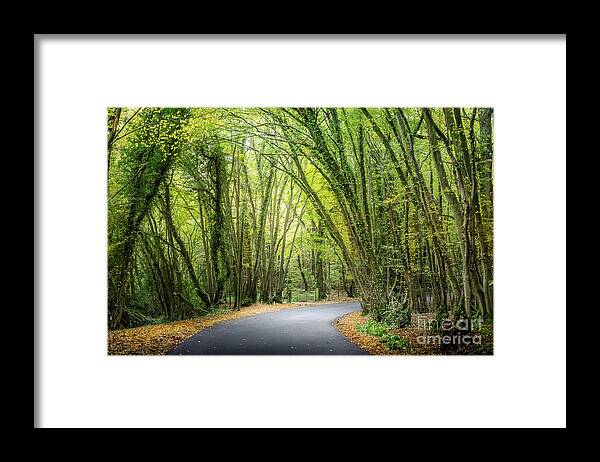 Trees Framed Print featuring the photograph Close to Home 2 by Perry Rodriguez