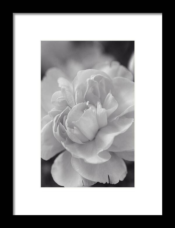 Abstract Framed Print featuring the photograph Close To You by Lucinda Walter