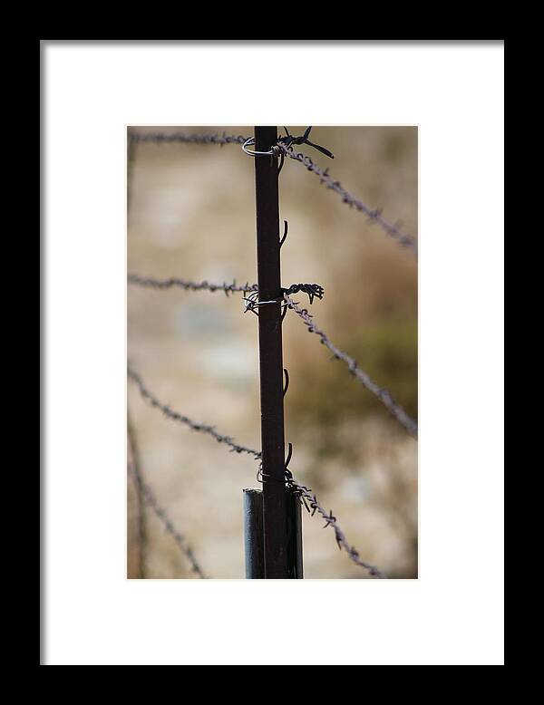 Golden Framed Print featuring the photograph Closeup of Barbed Wire Fence - Portrait 2 by Colleen Cornelius