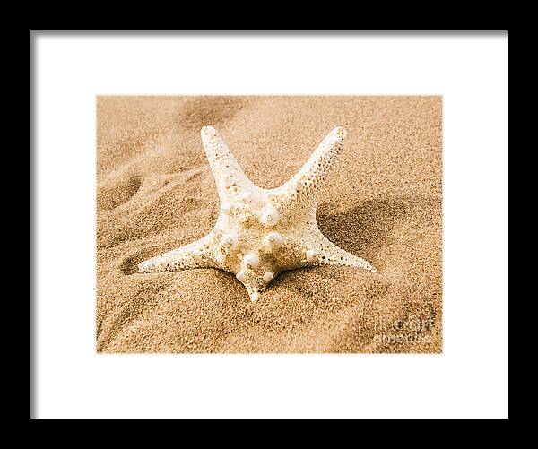 Sea Framed Print featuring the photograph Closeup on a seashore starfish by Jorgo Photography