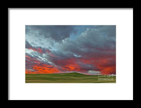 00559269 Framed Print featuring the photograph Cloud and Wheat at Sunset by Yva Momatiuk John Eastcott