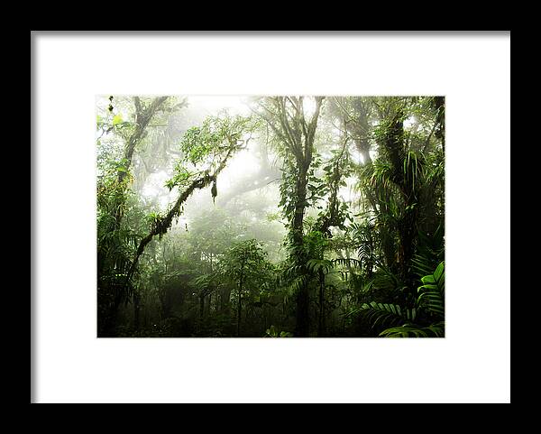 #faatoppicks Framed Print featuring the photograph Cloud Forest by Nicklas Gustafsson