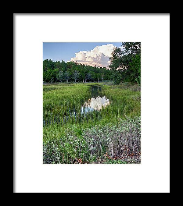 Seabrook Island Framed Print featuring the photograph Cloud Over Marsh by Patricia Schaefer