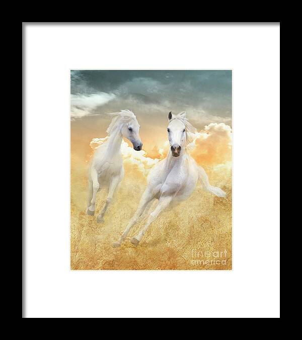 White Horses Framed Print featuring the photograph Cloud Runners by Melinda Hughes-Berland