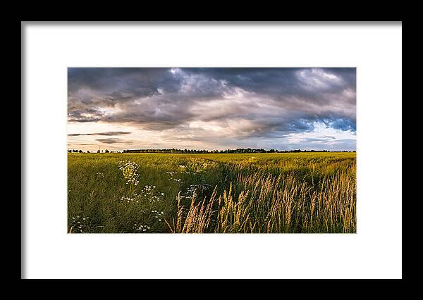 Agriculture Framed Print featuring the photograph Clouds over the fields by Dmytro Korol
