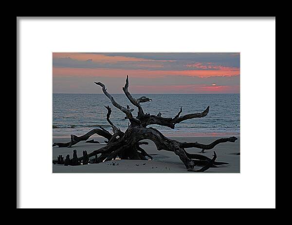 Jekyll Island Framed Print featuring the photograph Cloudy Sunrise on Jekyll Island's Driftwood Beach by Bruce Gourley