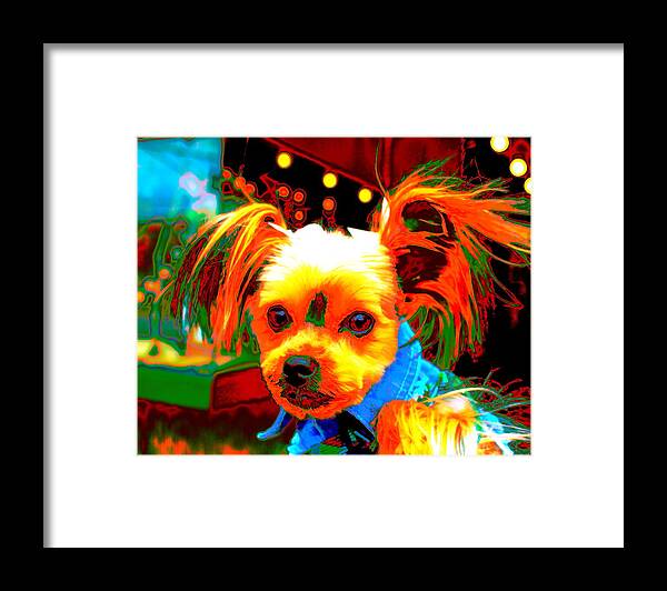 Clown Framed Print featuring the photograph Clown Dog by Larry Beat