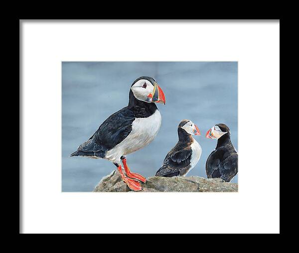 Puffin Framed Print featuring the painting Clowns of the Sea. by John Neeve