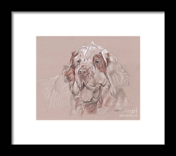 Dog Framed Print featuring the drawing Clumber Spaniel - Big by Steve Hamlin