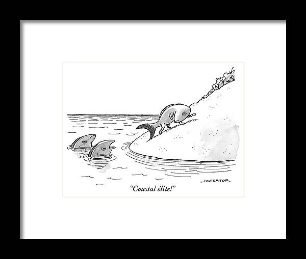 coastal élite! Framed Print featuring the drawing Coastal Elite by Joe Dator