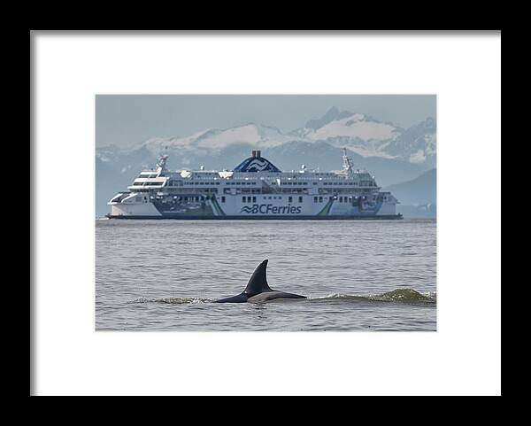 Bc Ferries Framed Print featuring the photograph Coastal Inspiration by Randy Hall
