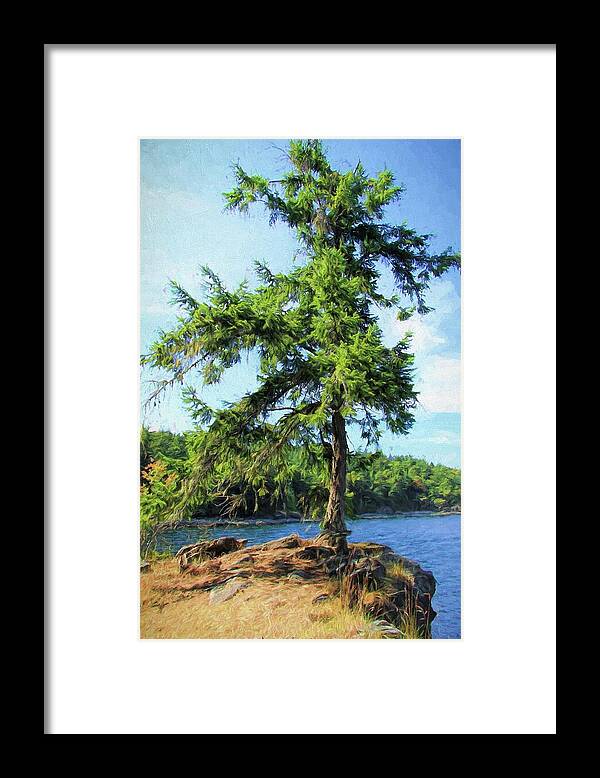 Tree Framed Print featuring the photograph Coastal View by Kathy Bassett
