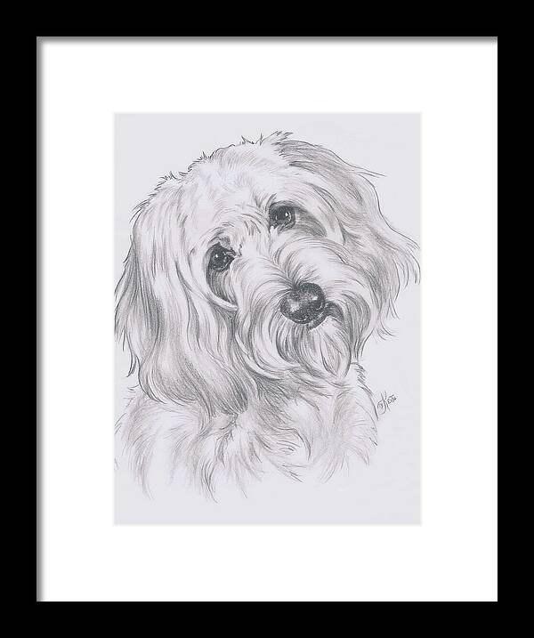 Designer Dog Framed Print featuring the drawing Cocker-Poo by Barbara Keith