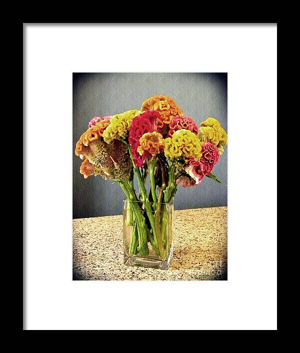 Cockscomb Framed Print featuring the photograph Cockscomb Bouquet by Sarah Loft