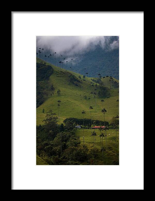 Colombia Framed Print featuring the photograph Cocora Valley Colombia by Adam Rainoff