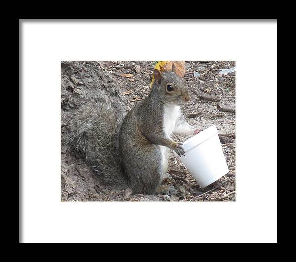 Squirrel Framed Print featuring the photograph Coffee Time by Betty Buller Whitehead