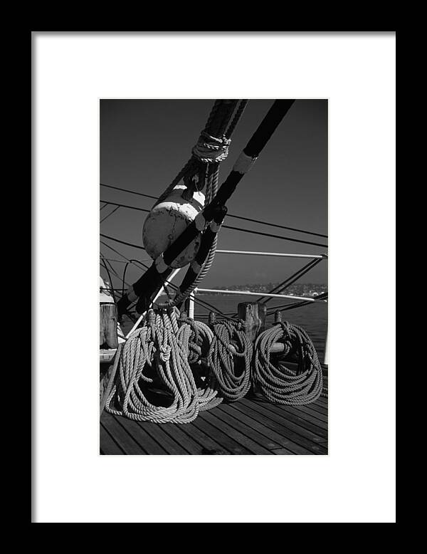 Sailing Framed Print featuring the photograph Coiled Lines by David Shuler
