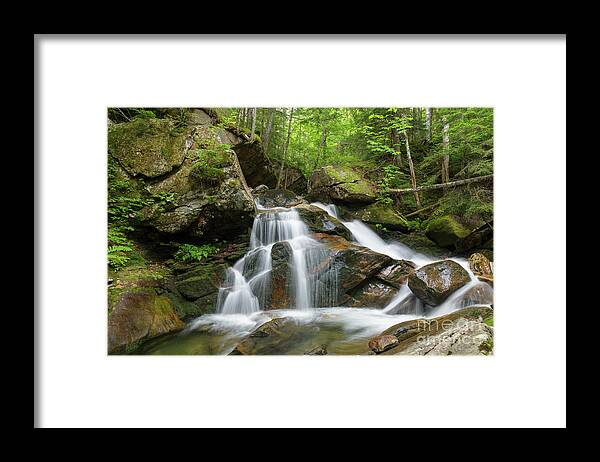 Amphibrach Trail Framed Print featuring the photograph Cold Brook - White Mountains New Hampshire by Erin Paul Donovan