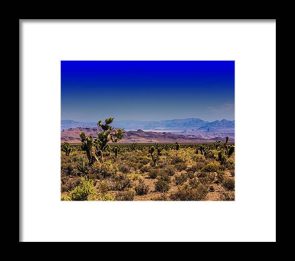 Nevada Framed Print featuring the photograph Cold Creek 6 by Martin Naugher