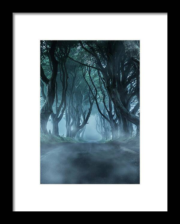 Dark Hedges In Northern Ireland Framed Print featuring the photograph Cold morning in northern Ireland by Jaroslaw Blaminsky