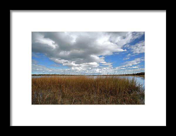 Cold Spring Pond Framed Print featuring the photograph Cold Springs Pond Morning by Steve Gravano